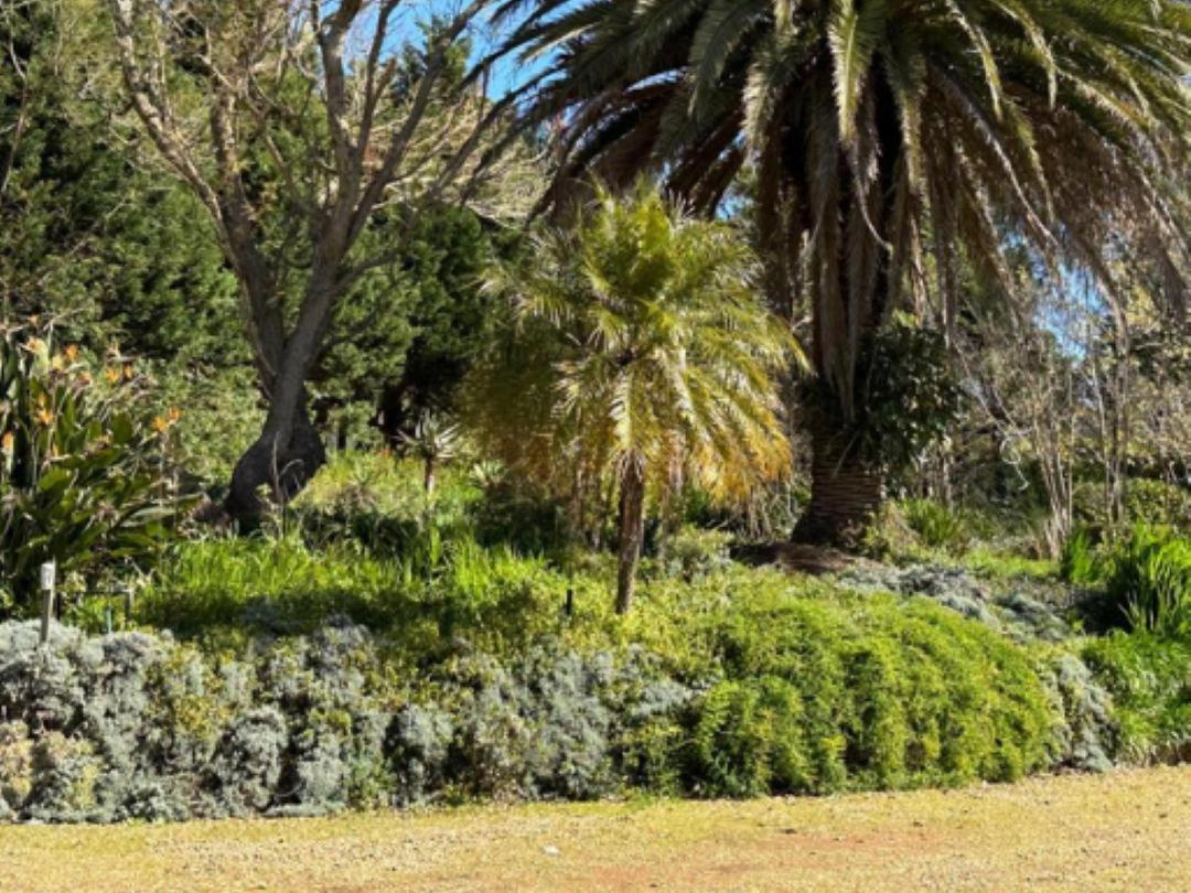 Madajo Villa Stellenbosch Eksteriør billede
